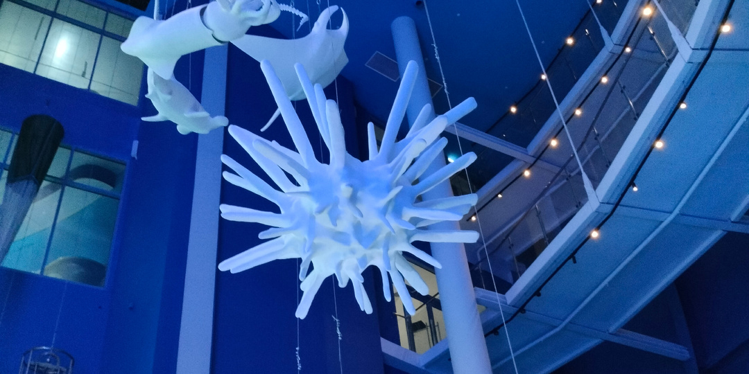 Что же внутри Шара в Калининграде? Мои впечатления от увиденного и услышанного.