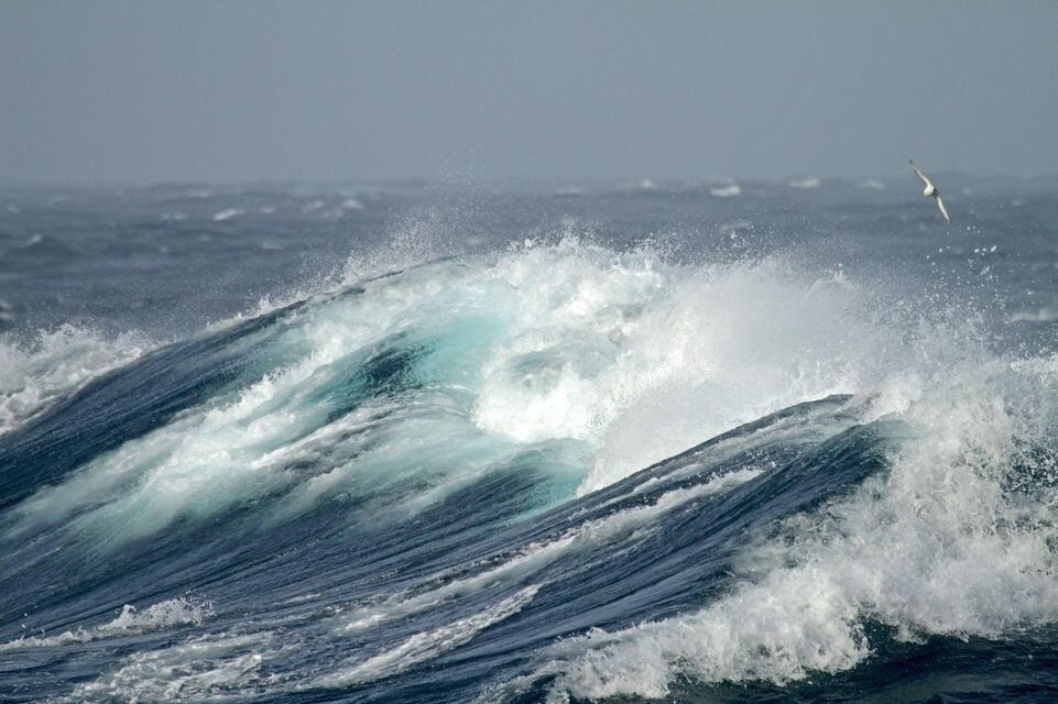  AGAMI/P. Morris via www.imago-im / www.globallookpress.com