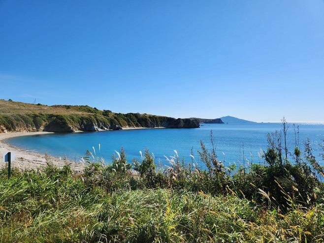    Источник фото: пресс-служба МегаФона