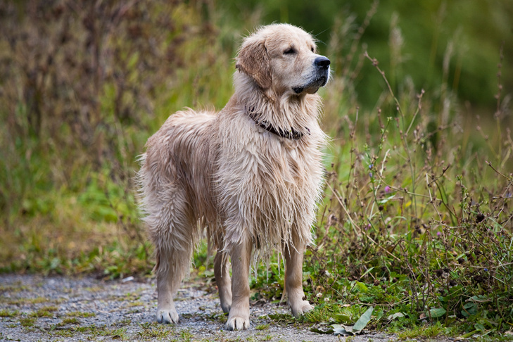    Фото из архива VN.ru