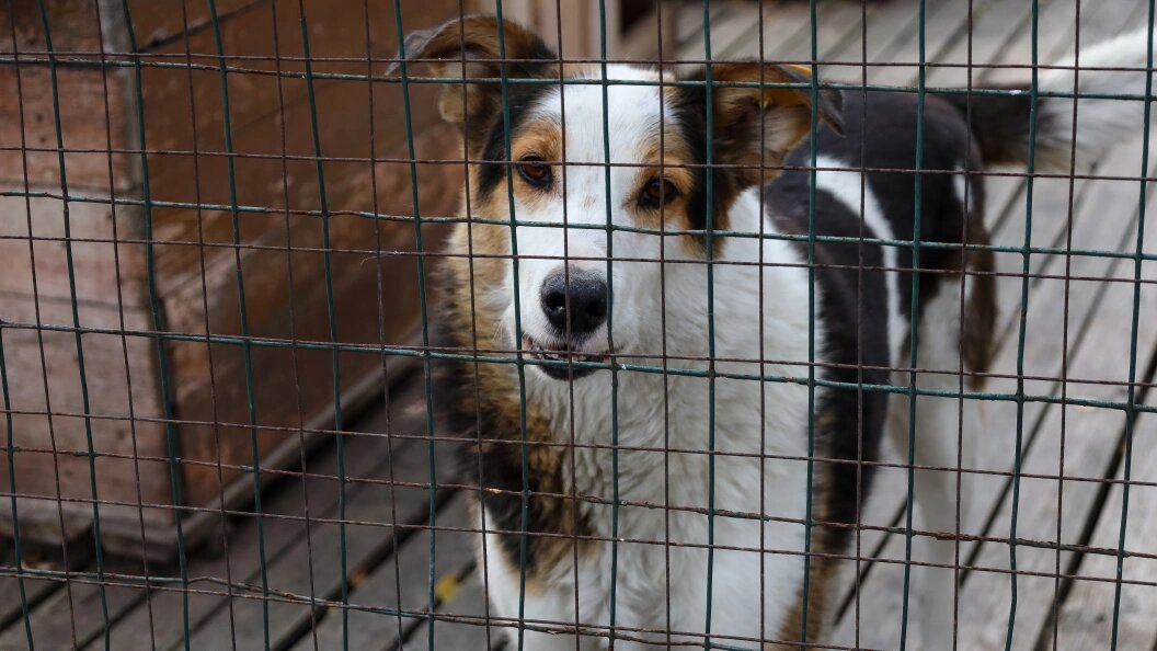    Фото: Elena Mayorova/Global Look Press