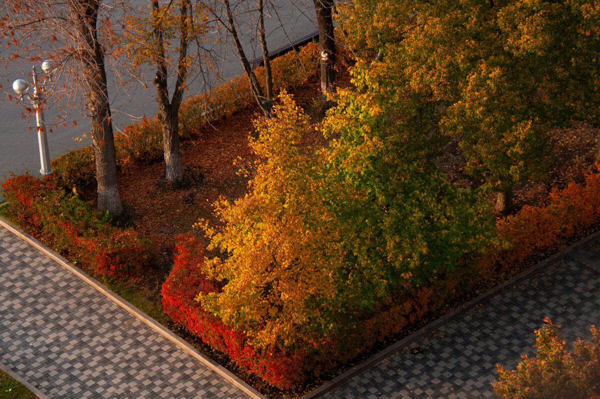 Синоптики обещают Приморью переменчивую погоду.  Фото: Фото: ФедералПресс / Светлана Возмилова