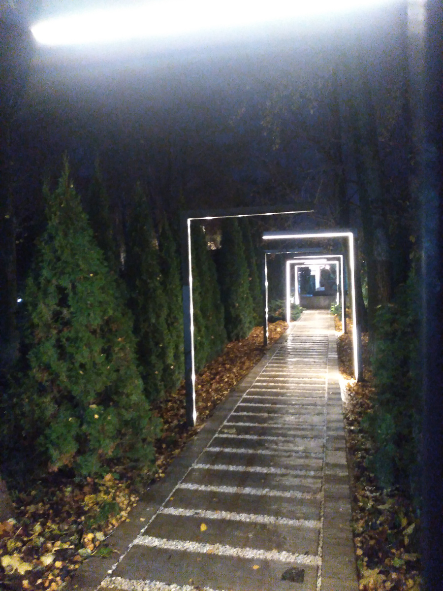 У меня сегодня получился кадр , который мне кажется напоминает этот портал.