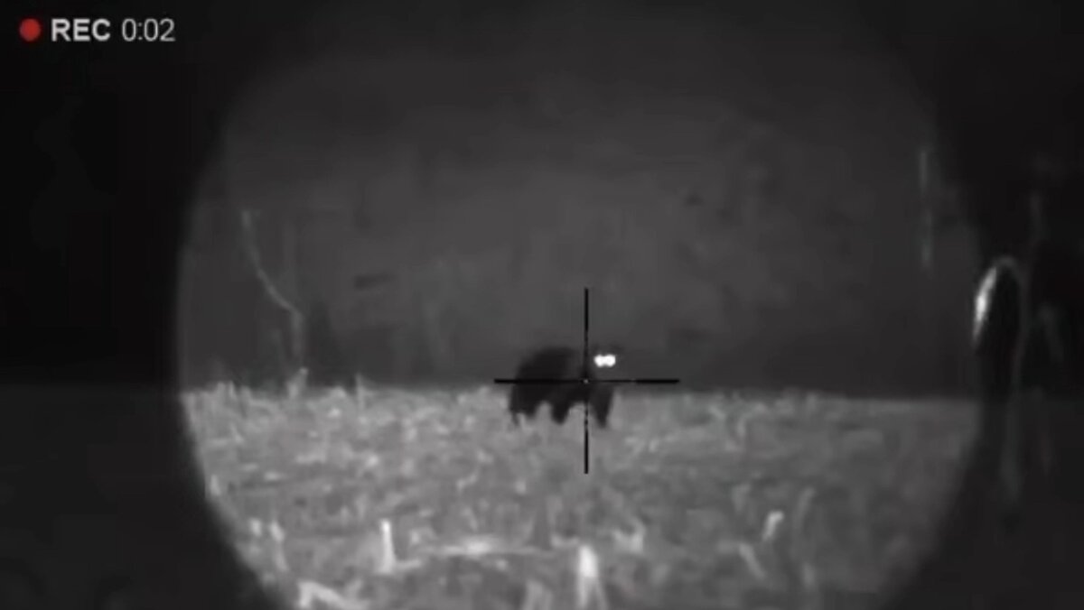   Передано RTVI местными жителями