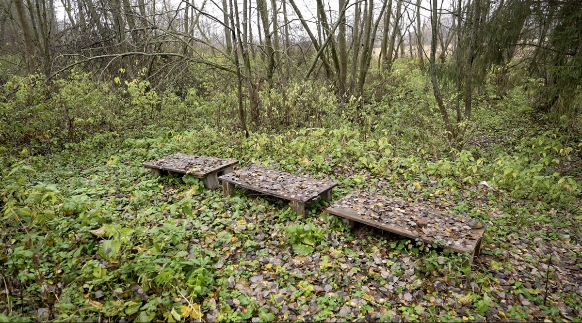    Татьяна Панова / RTVI