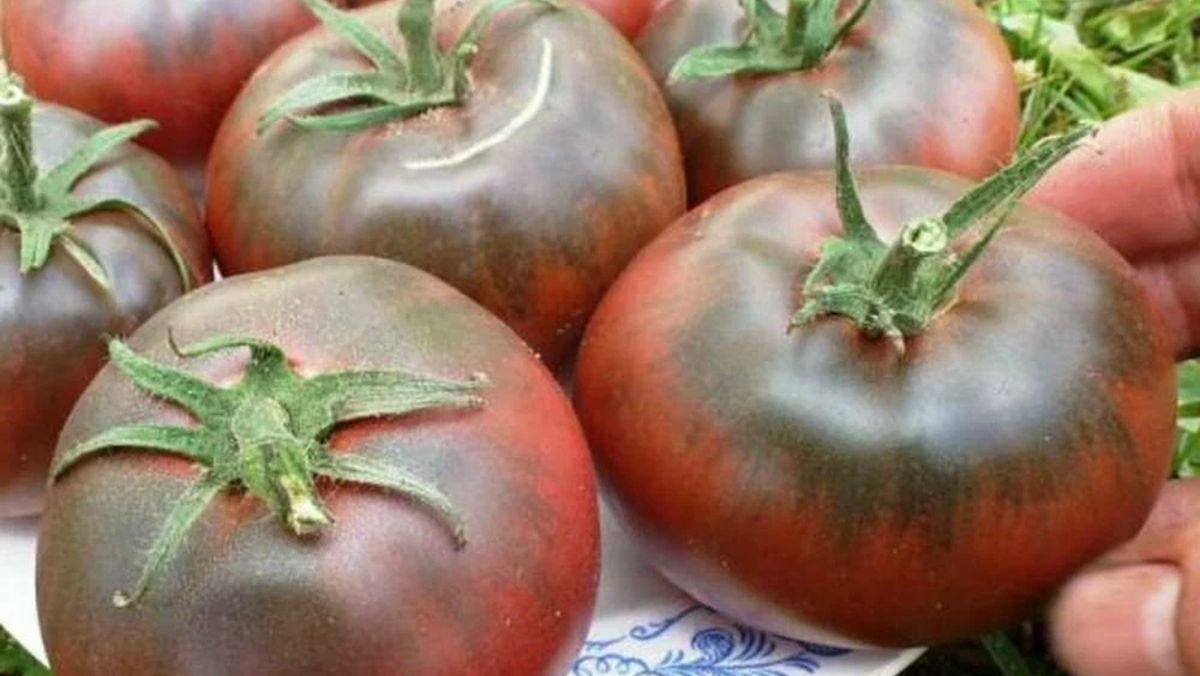 Чёрный принц