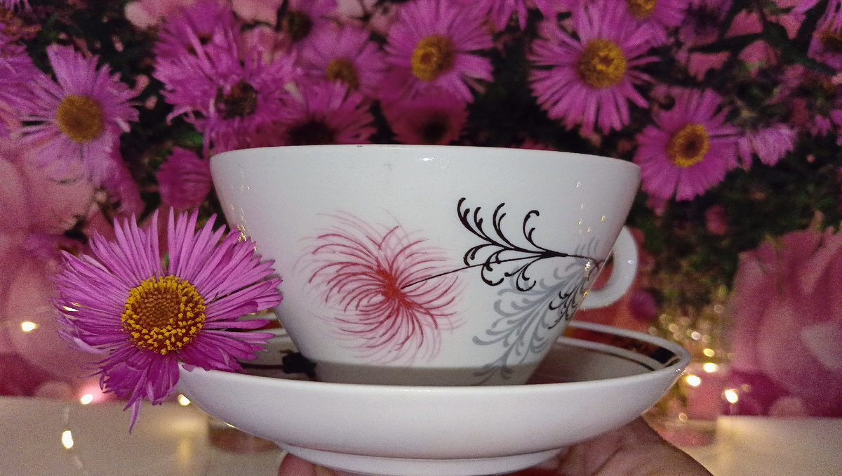 Пока греется чайник. Фото автора 