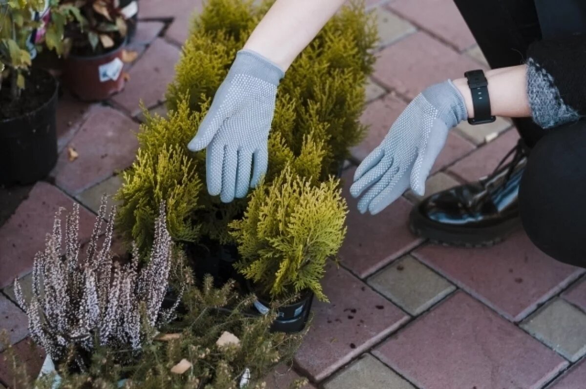    Юные салехардцы освоили основы сити-фермерства на мастер-классе