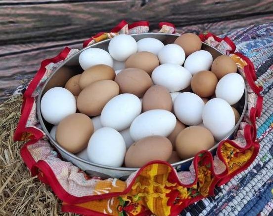    фото "Веселовские вести" Веселовские вести