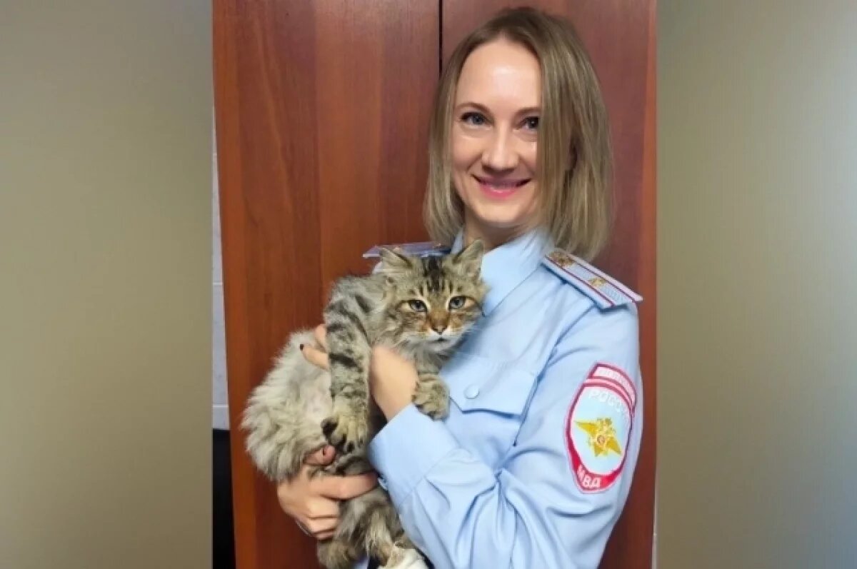    В Красноярском крае полицейские спасли кота и теперь ищут ему хозяев