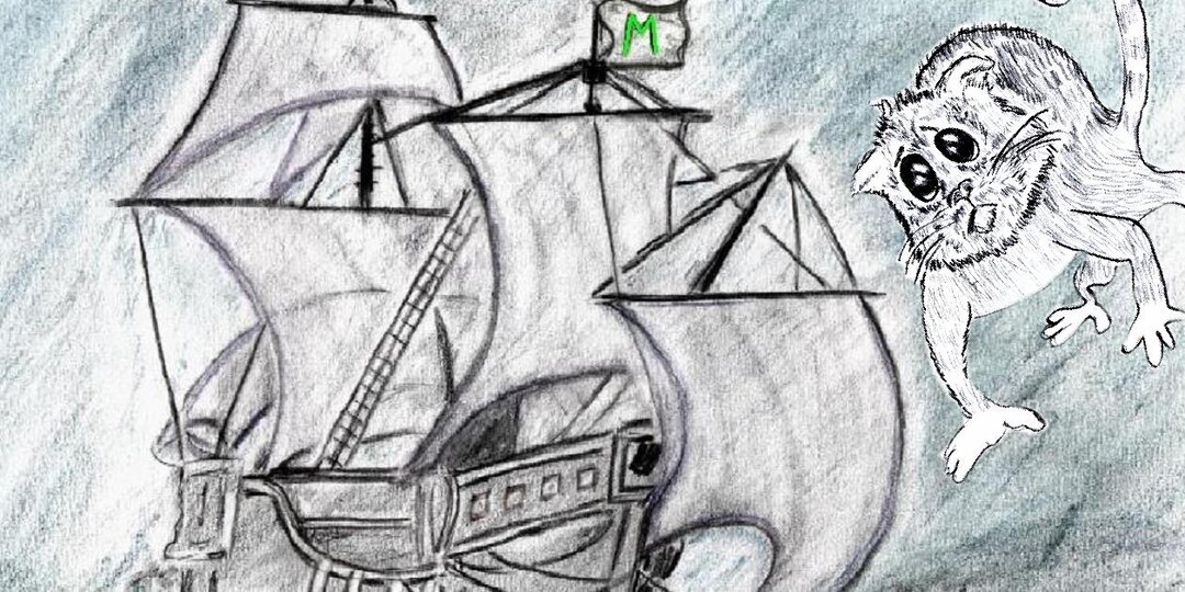 Подарок на свадебное путешествие