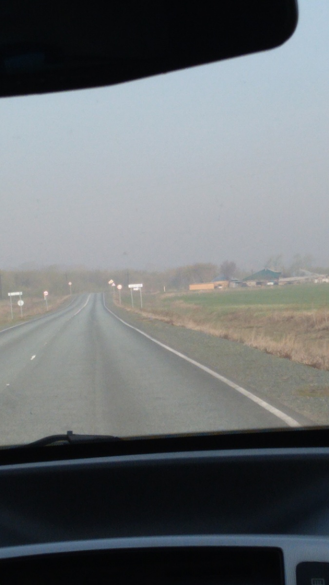 Где-то на просторах Алтайского края. Фотография автора, весна 2023 года. 