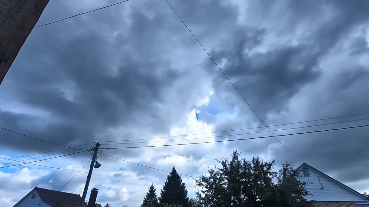   Всем привет. Конец августа. Погода уже начинает портиться. Все сильнее чувствуется приближение осени. Изначально планировали с отцом поехать на рыбалку но поднялся ветер и набежали тучи. в общем не самый благоприятный для клева день. Но тем не менее что бы не терять в пустую день решили поехать на разведку по грибы.