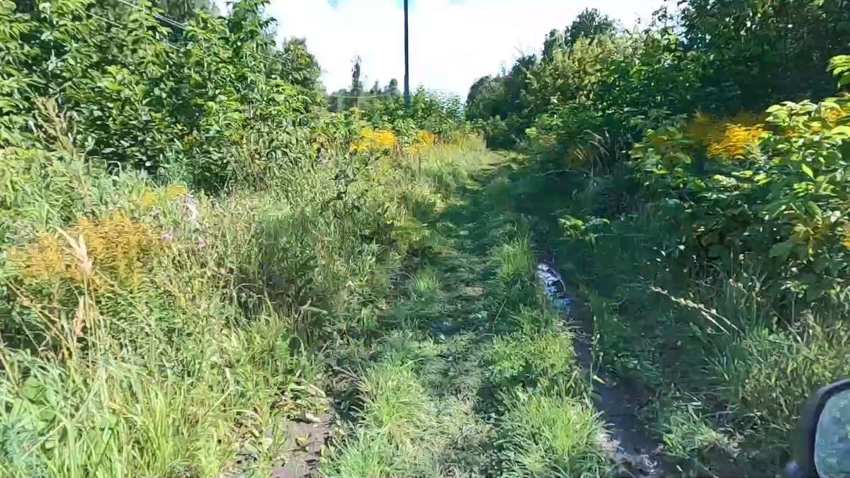 Едем по сильно заросшей догоге на брошенные дачи. В советское время здесь кипела бурная дачная жизнь. Но с приходом девяностых все пришло в запустение.