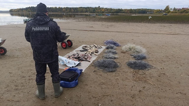    фото: © Северо-Западное ТУ Росрыболовства / VK