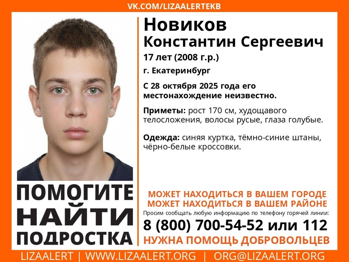 Фото: поисковый отряд «Лиза Алерт» Свердловской области  📷
