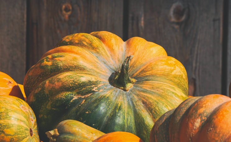 Фото: Фрипик