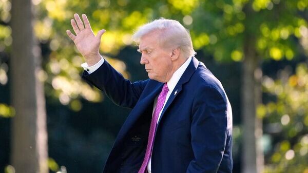    © AP Photo Alex Brandon