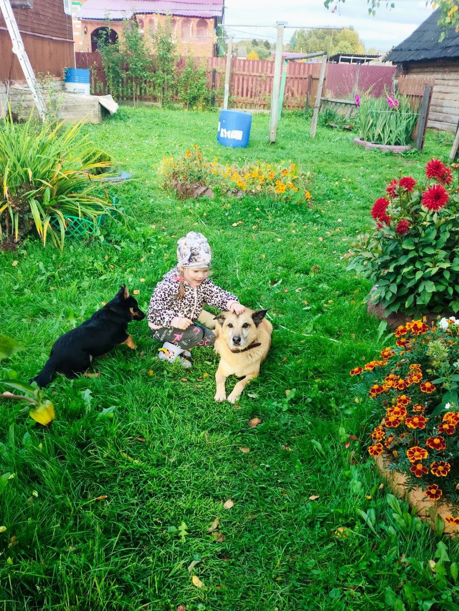 Деревня, Валерик, собани