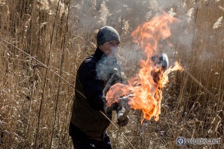 Фото: архив Volganet.net