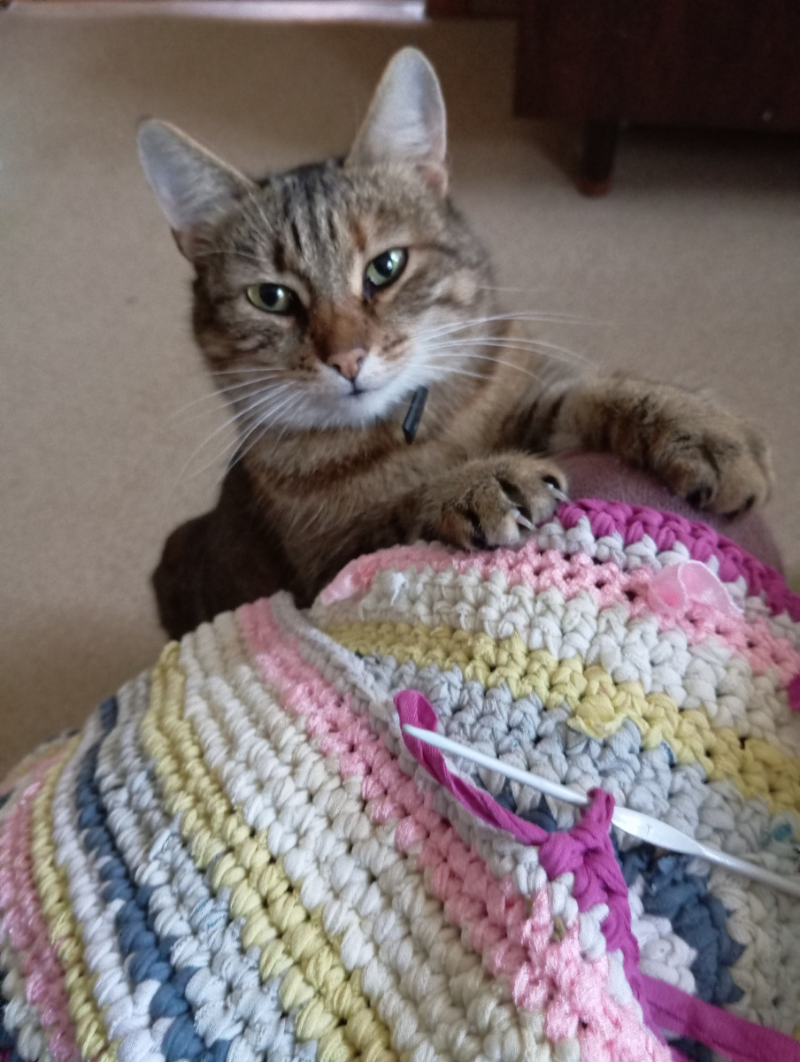 Второй в процессе, ну, и Сеня как всегда :) 