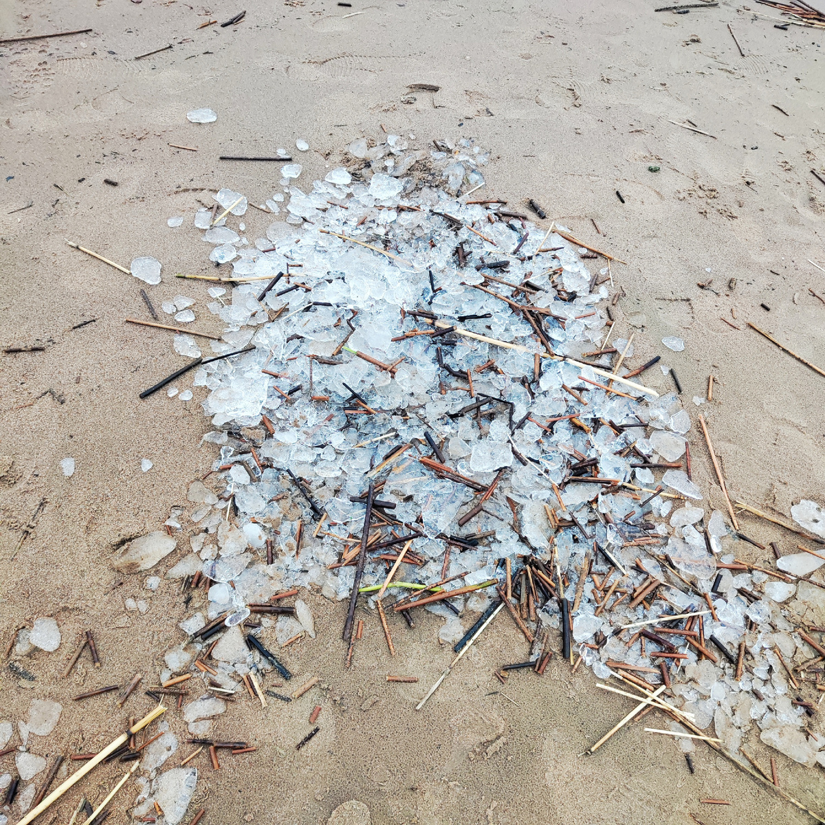 Декабрь в Питере. 