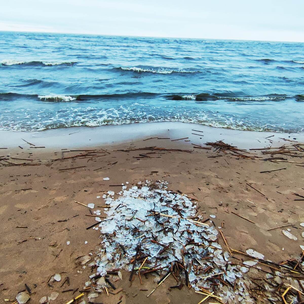 Декабрь в Питере