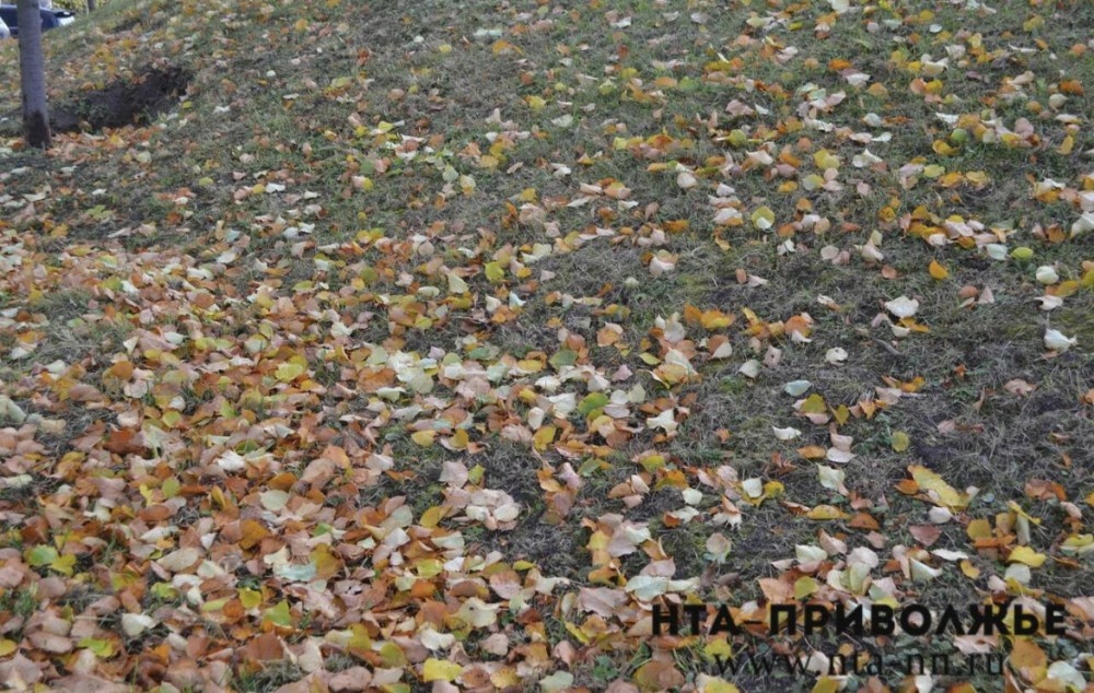    Народные приметы: 30 октября