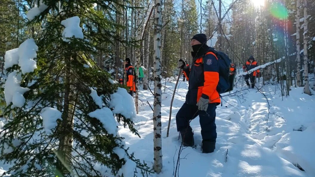 Поиси людей в тайге.  фото: картинки яндекс.