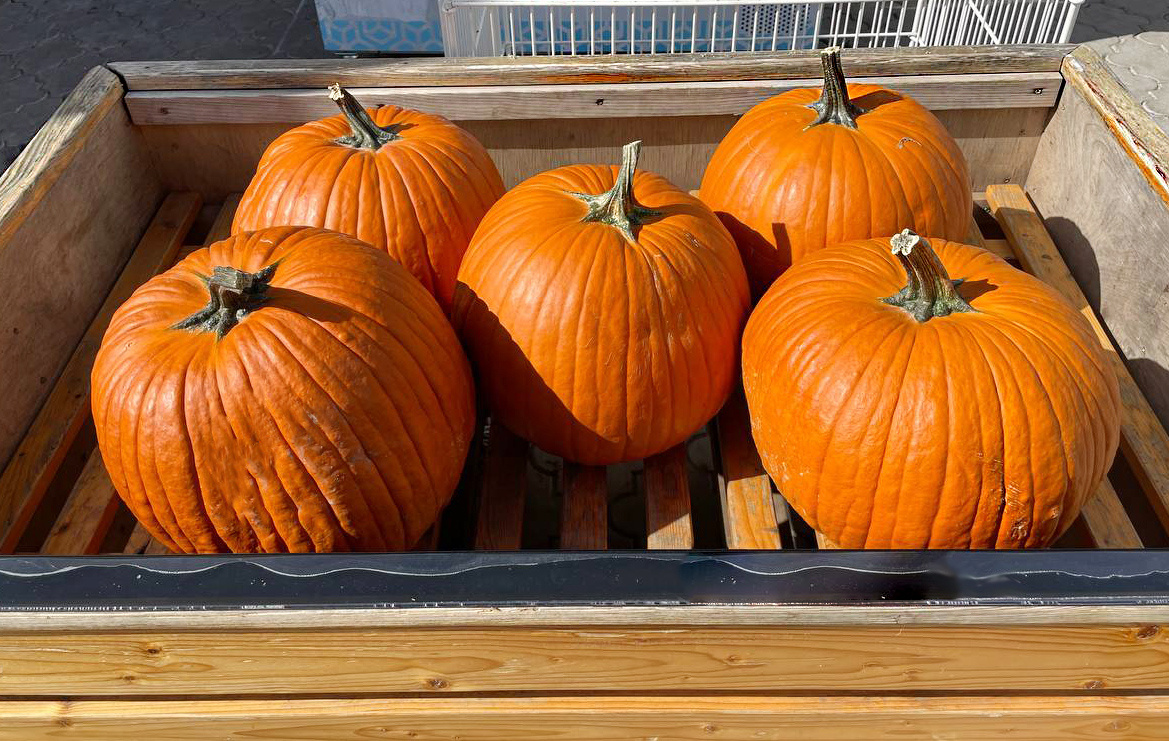 тыквы в продаже на всех рынках страны