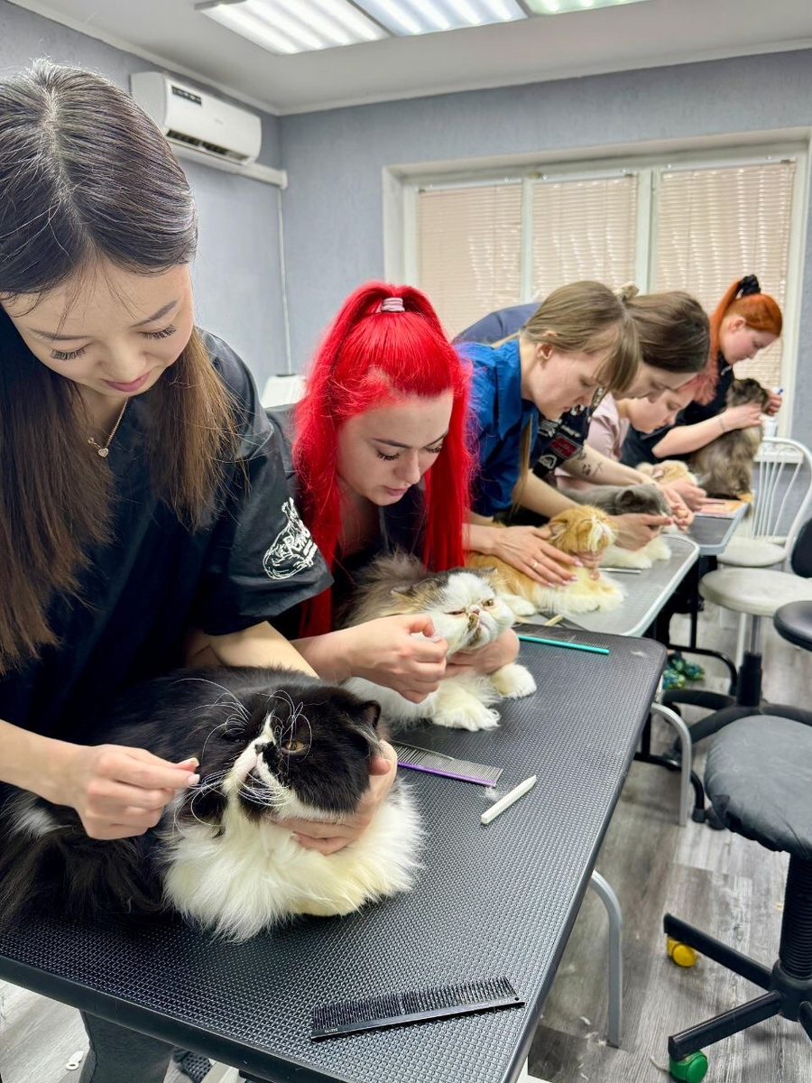 Группа моих учеников работают с вальяжными персами