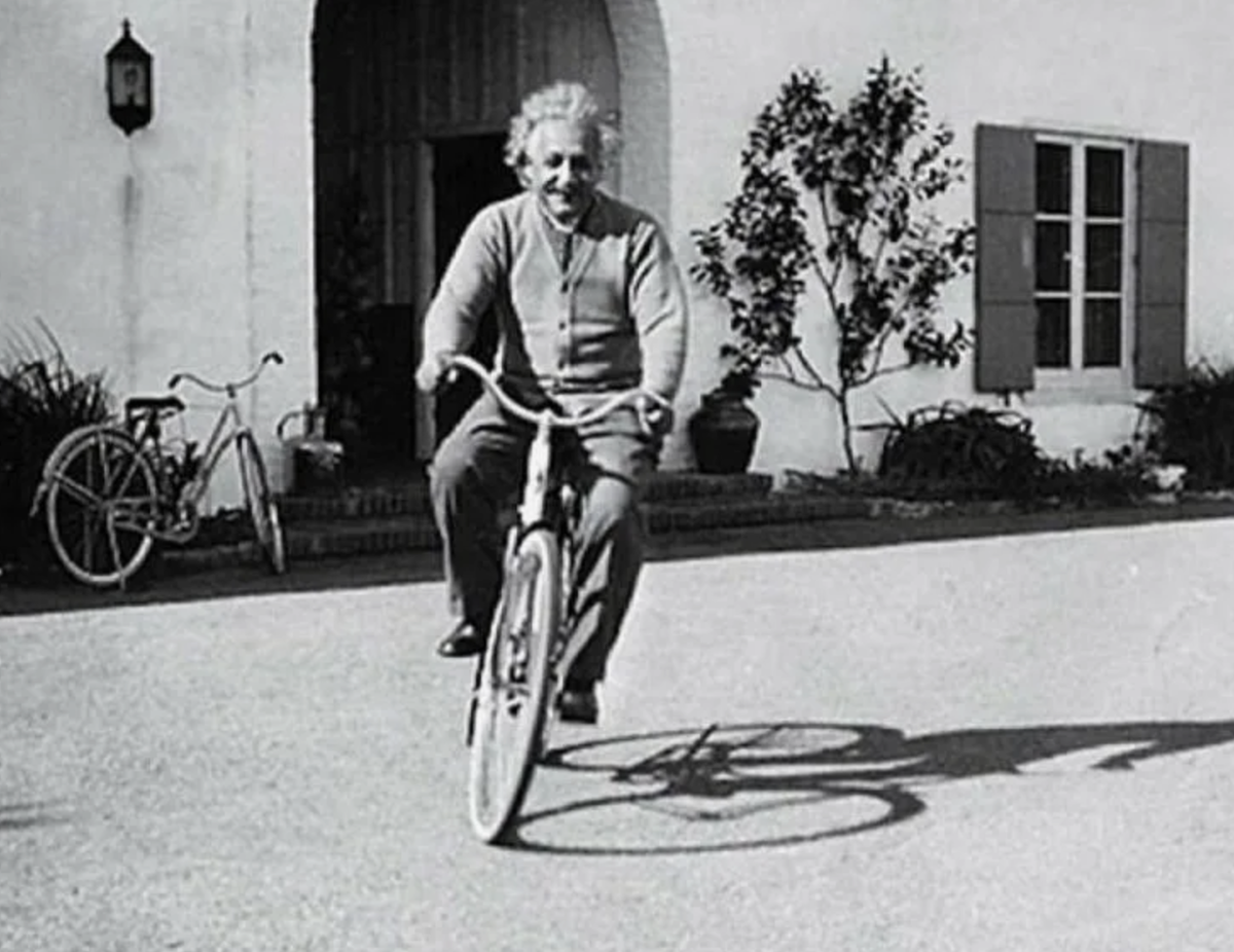 Фото взято из открытого источника