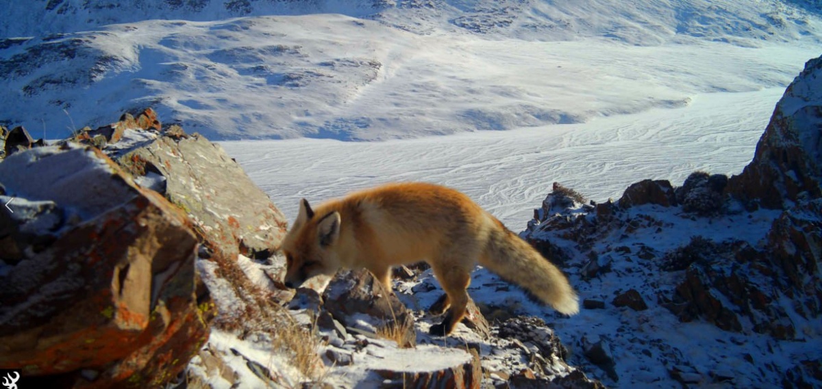 Национальный парк «Сайлюгемский»