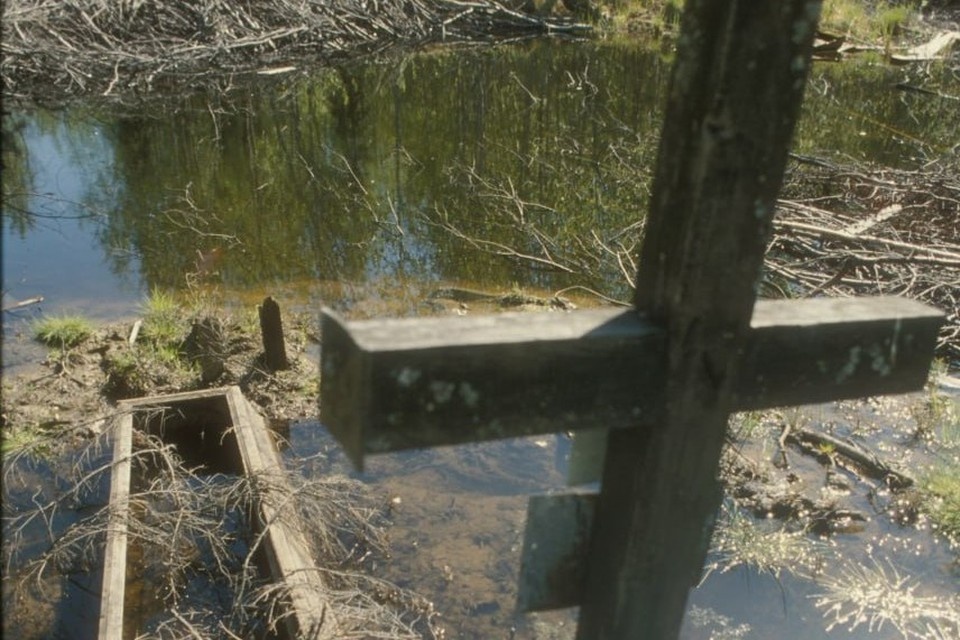    За селом крестьяне нашли 211 могил. Все они – индивидуальные. Военнопленные хоронили своих товарищей сами. Владимир ВЕЛЕНГУРИН