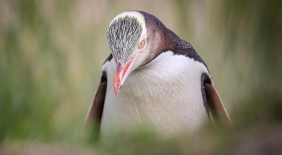   Andy Witchger / Wikimedia Commons / CC BY 2.0