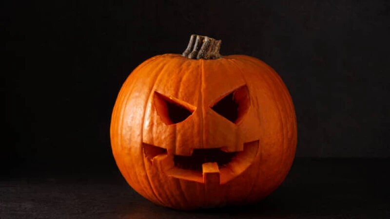     Тыква. Хэллоуин. СС0