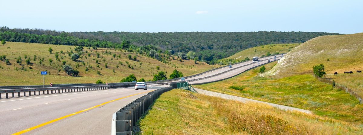 Фото: shutterstock