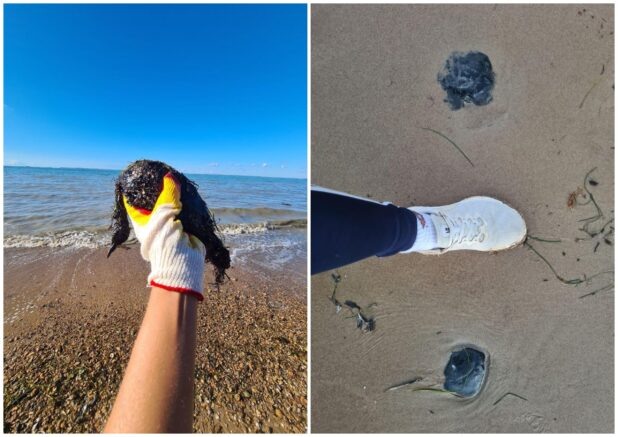    мазутные "плюшки" / t.me/shtab_delfin