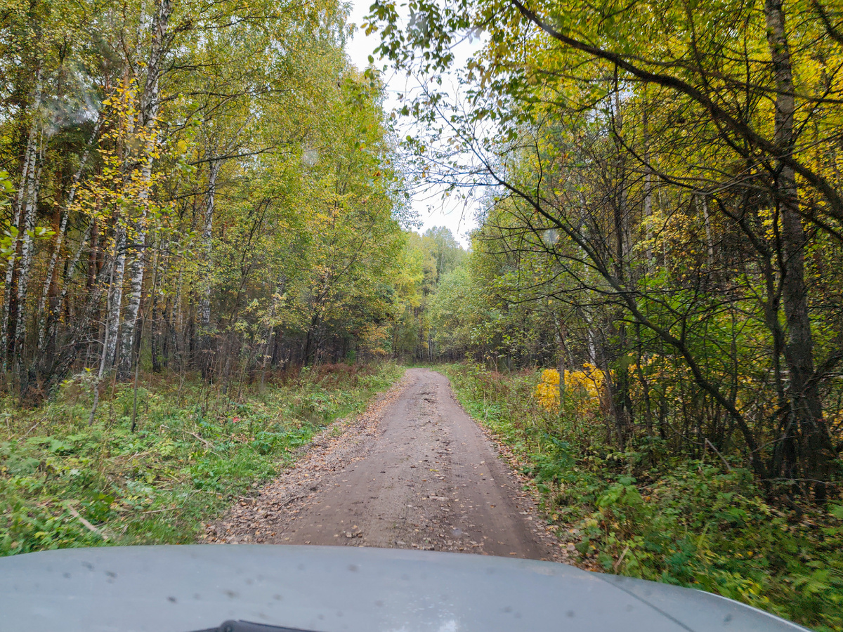 Начнем с лесных, осенних дорог