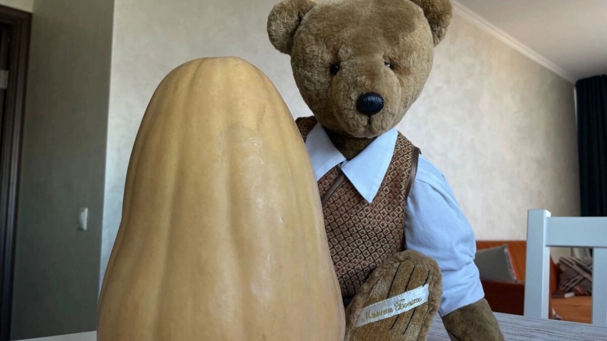     Источник: rostovgazeta.ru