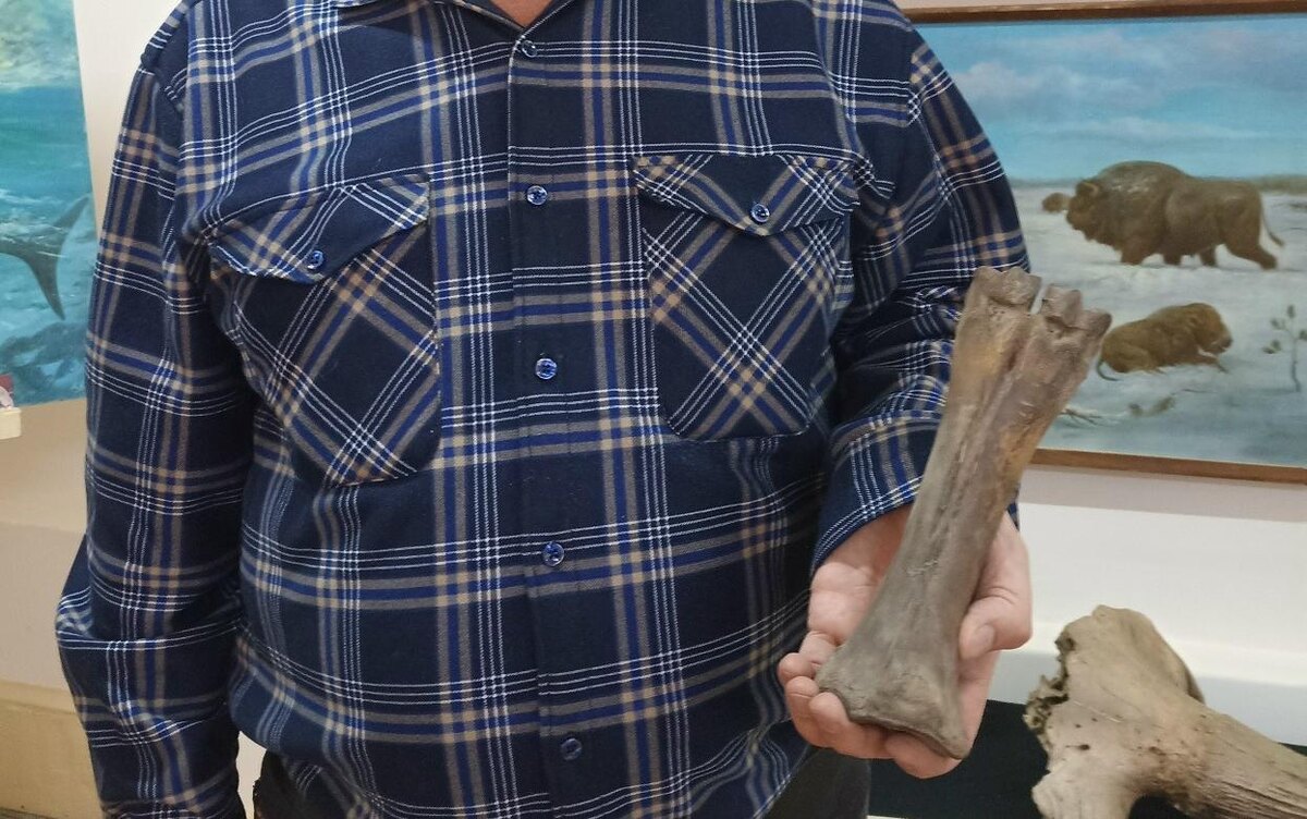    Житель Удмуртии нашел на своей даче кость бизона из позднего палеолита