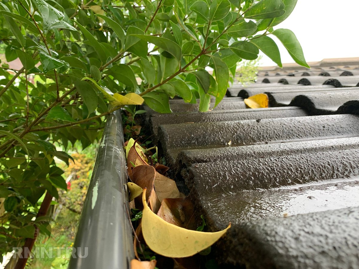 Фото: bloomslandcare.com