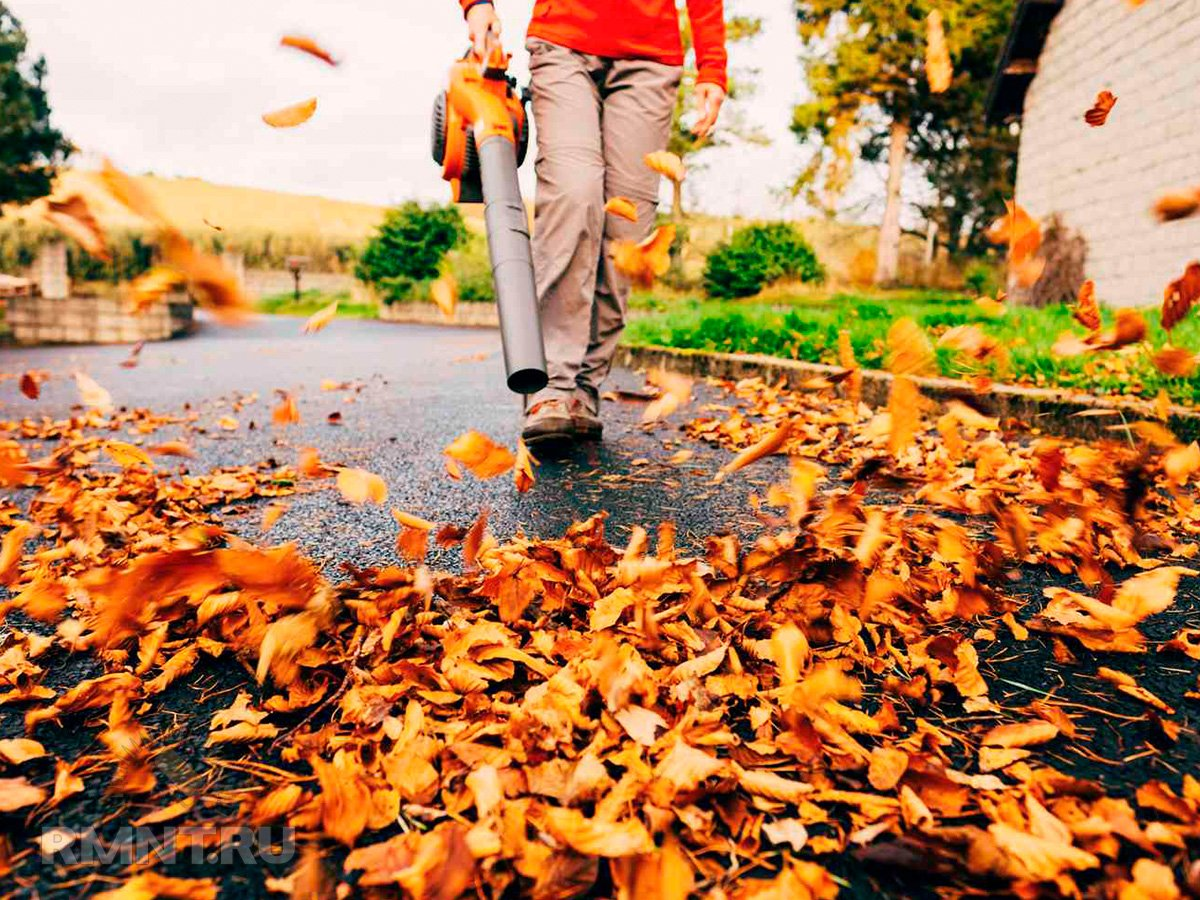 Фото: thespruce.com