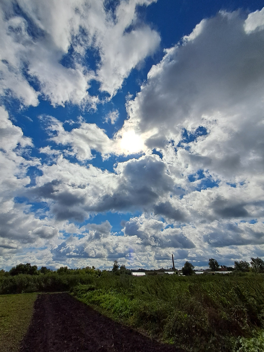 наша земля фото автора