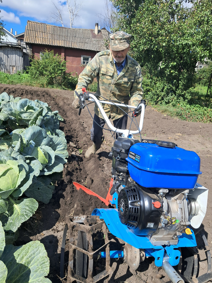 наше поместье -фото автора