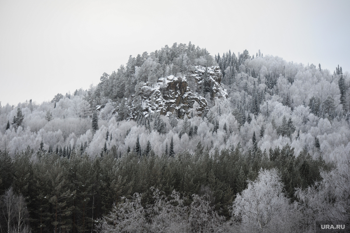 Красноярская тайга продолжает хранить тайну исчезновения Усольцевых. Фото: Вадим Ахметов © URA.RU