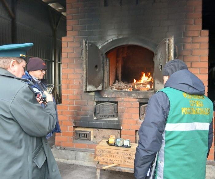     Фото: Россельхознадзор