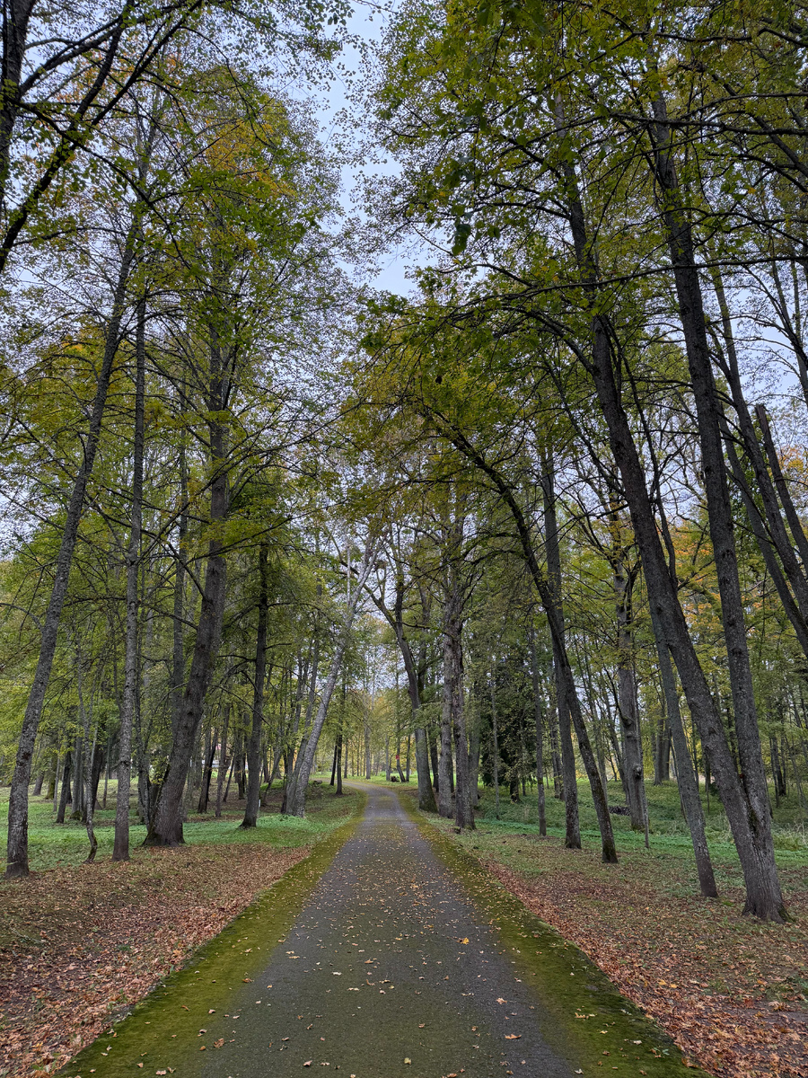 Музей-усадьба С.В. Ковалевской, Псковская область