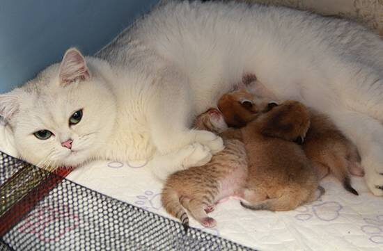 Фотография с интернета