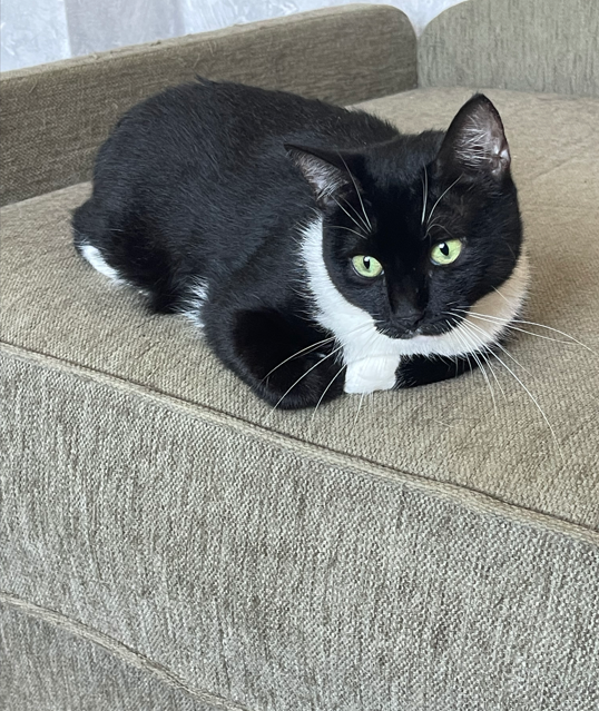 Где же мой режиссёр или партнёр по фильму?